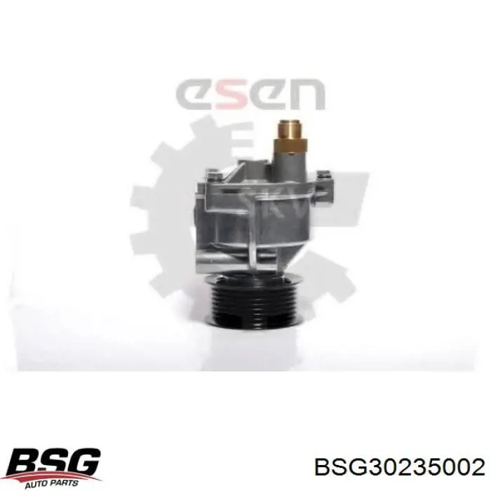 Купити BSG30235002 BSG Вакуумний насос