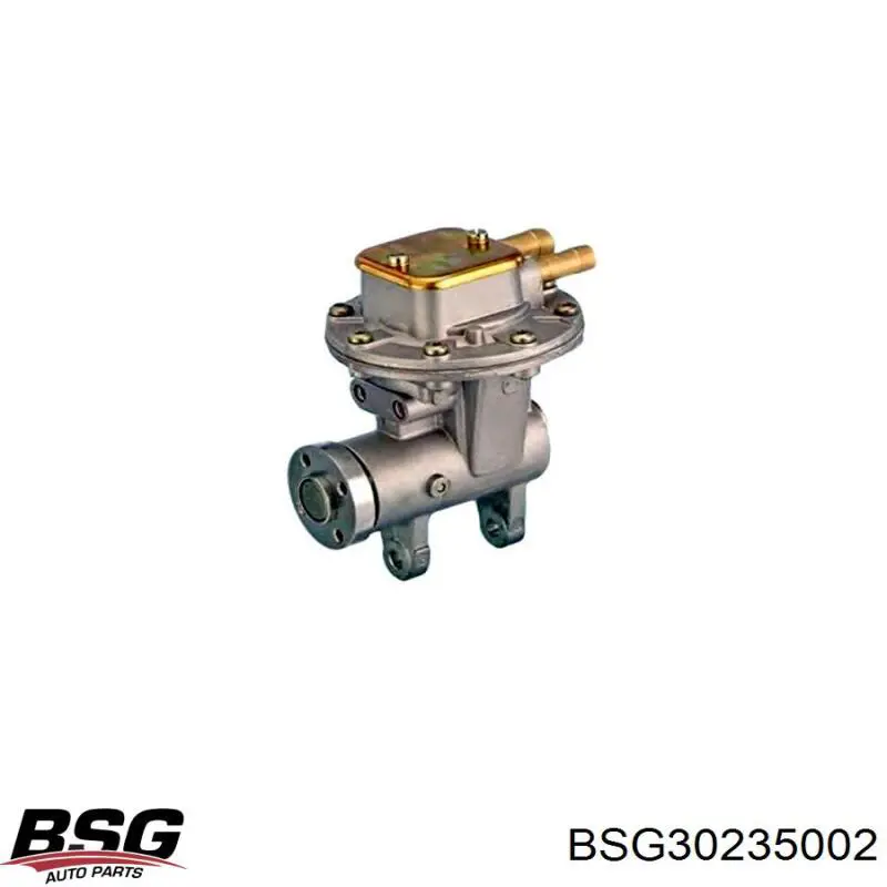 Вакуумний насос BSG30235002 BSG