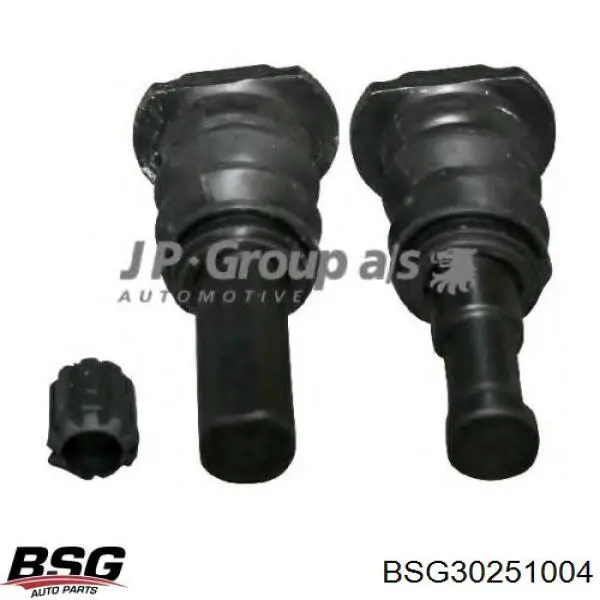 Купити BSG30251004 BSG Ремкомплект переднього супорту