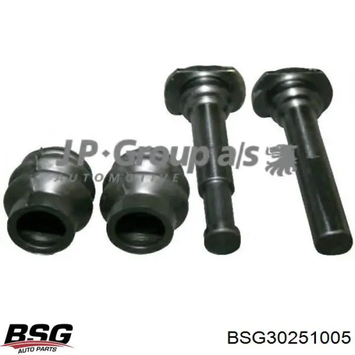 BSG30251005 BSG Ремкомплект заднього гальмівного супорта