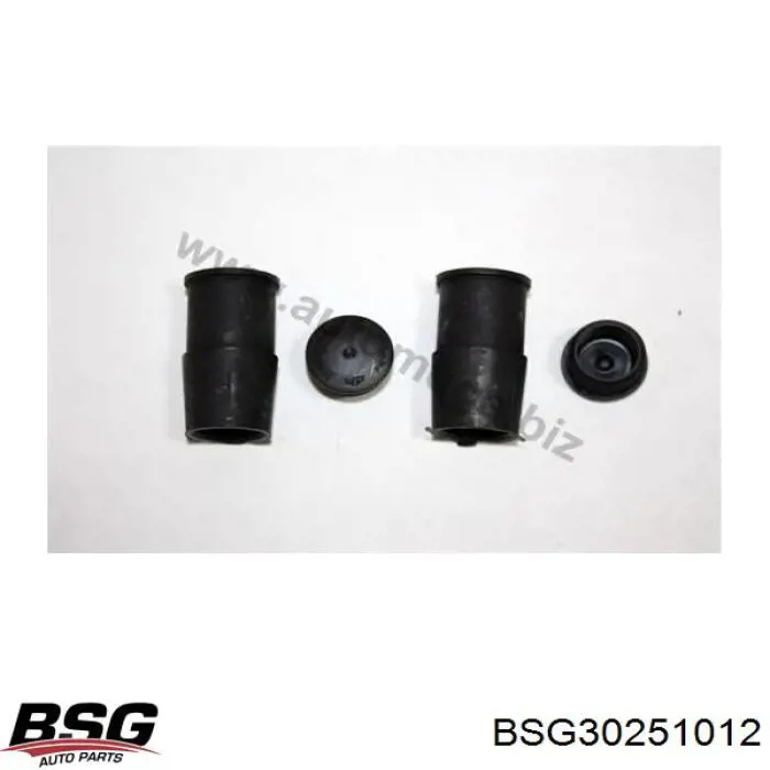 Ремкомплект переднього супорту BSG30251012 BSG