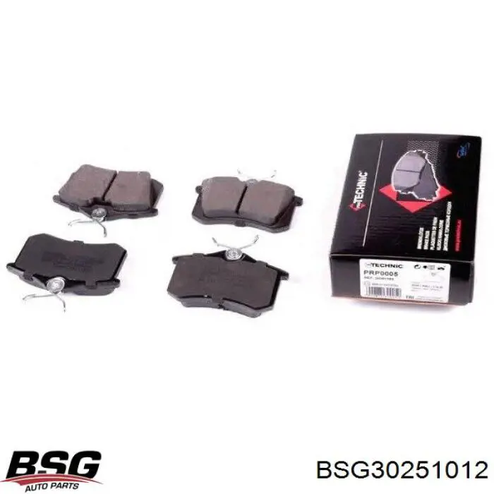 Купити BSG30251012 BSG Ремкомплект переднього супорту