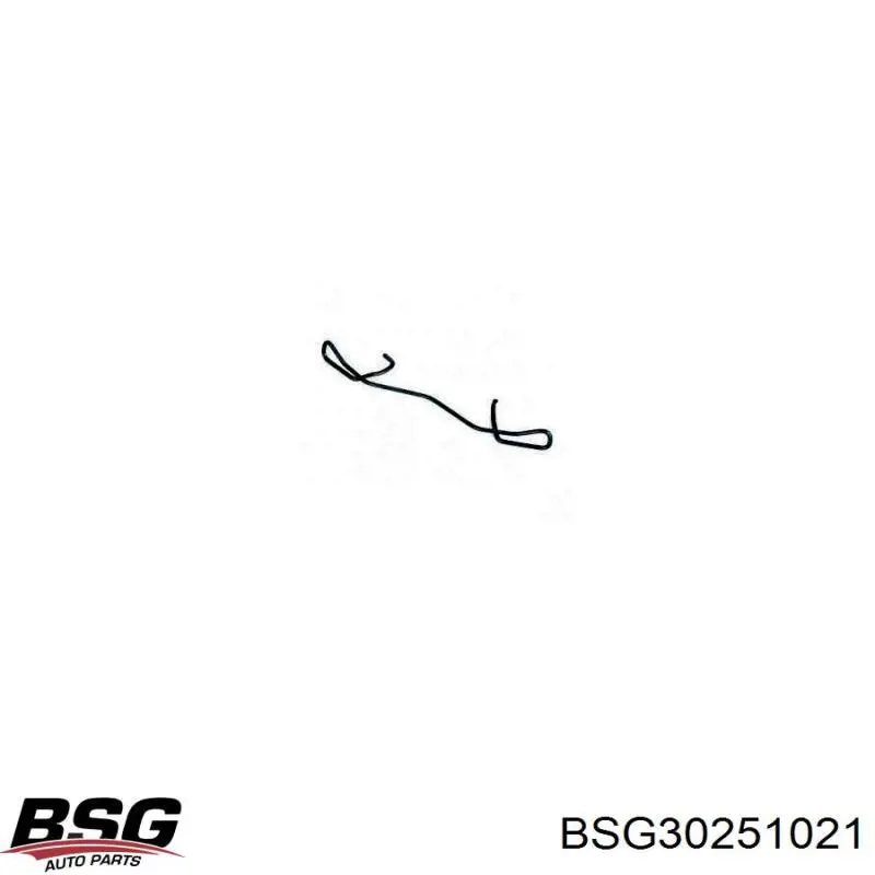 BSG30251021 BSG комплект пружинок кріплення дискових колодок, задніх