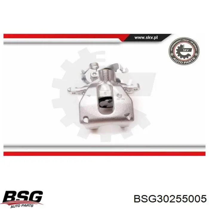BSG30255005 BSG Скоба гальмівного заднього супорта