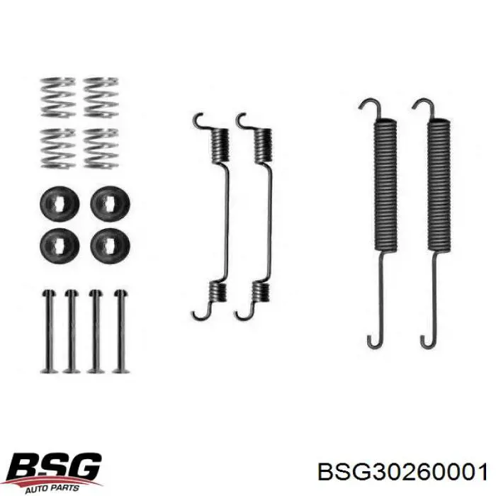 Купити BSG30260001 BSG Монтажний комплект задніх барабанних колодок
