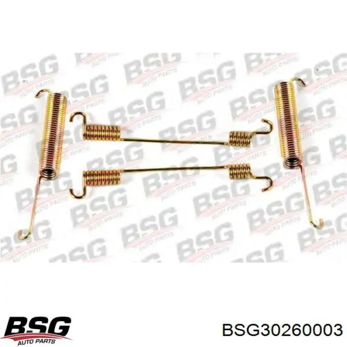 Купити BSG30260003 BSG Ремкомплект задніх гальм