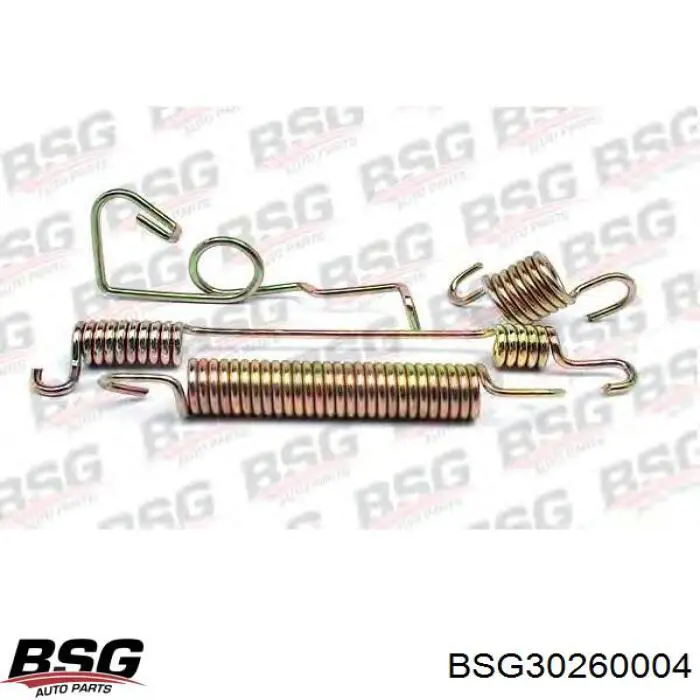 Ремкомплект задніх гальм BSG30260004 BSG
