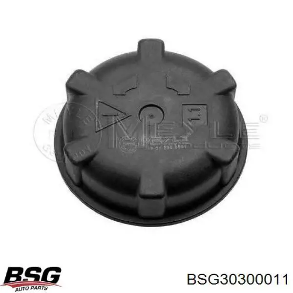 Амортизатор передній BSG30300011 BSG
