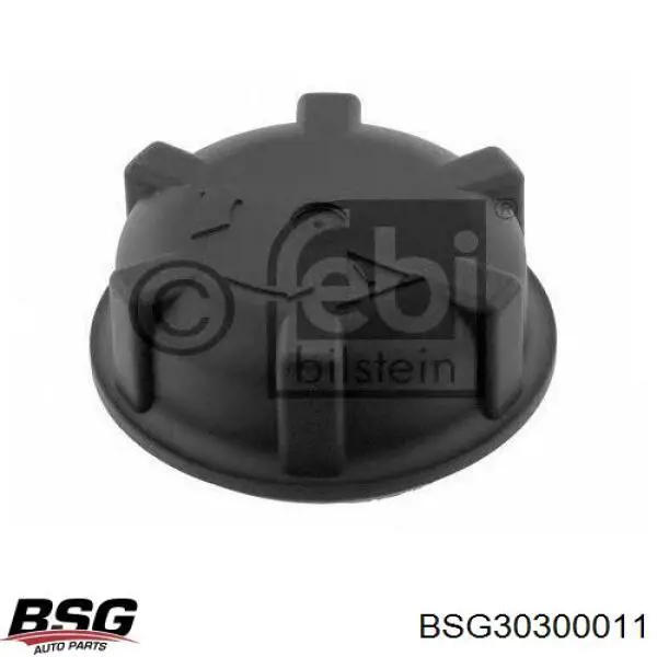 Купити BSG30300011 BSG Амортизатор передньої підвіски