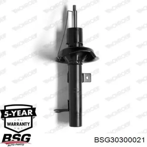Амортизатор передньої підвіски, лівий BSG BSG30300021 ціна, від 35.17 USD