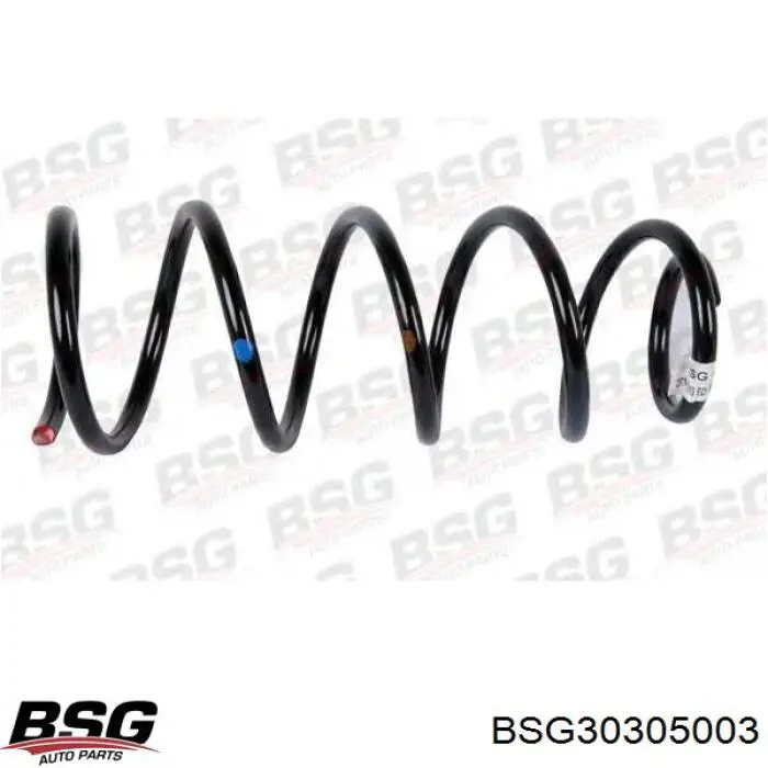 BSG30305003 BSG пружина передня