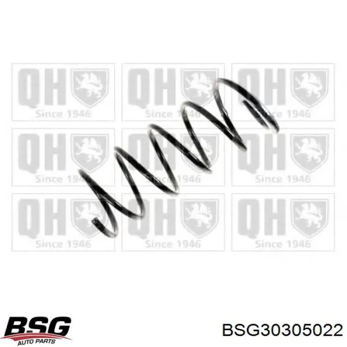 BSG30305022 BSG пружина передня