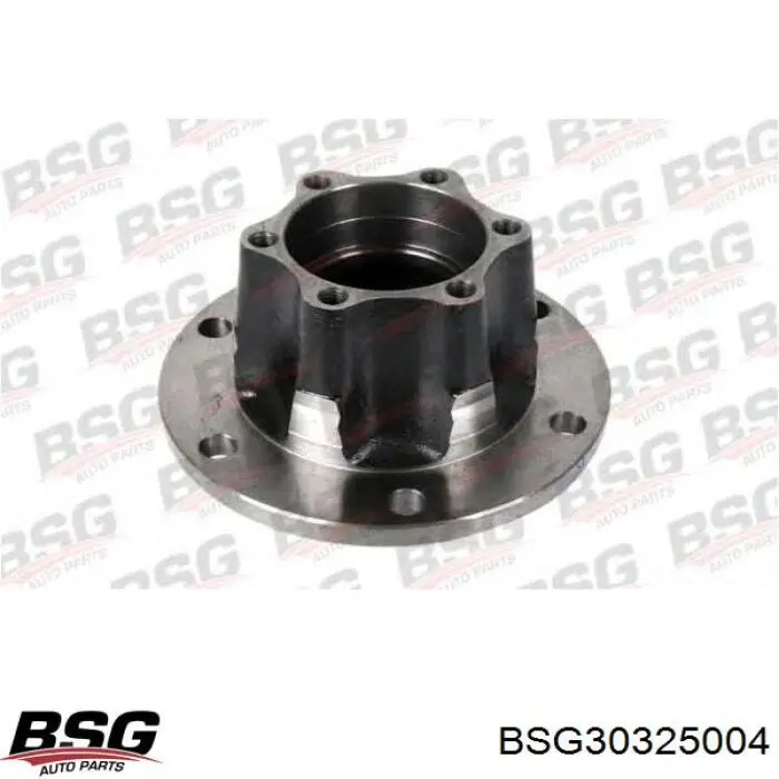 BSG30325004 BSG Маточина задня