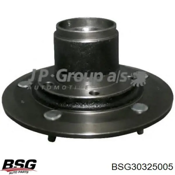 Купити BSG30325005 BSG Маточини передніх коліс