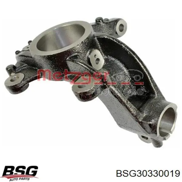 Купити BSG30330019 BSG Цапфа передні праві
