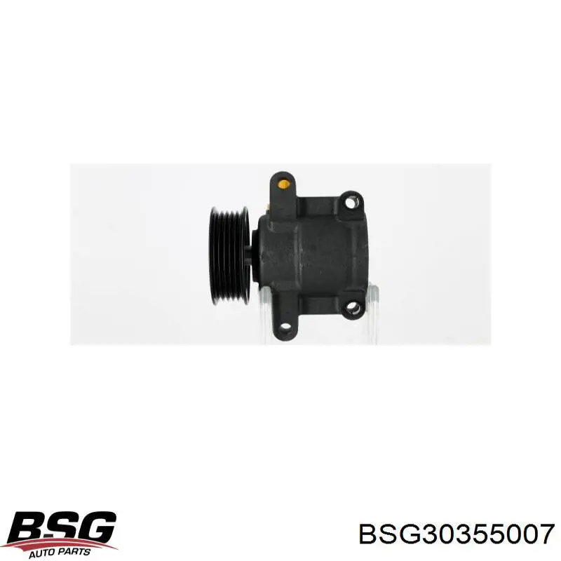 BSG30355007 BSG насос гідропідсилювача керма (гпк)