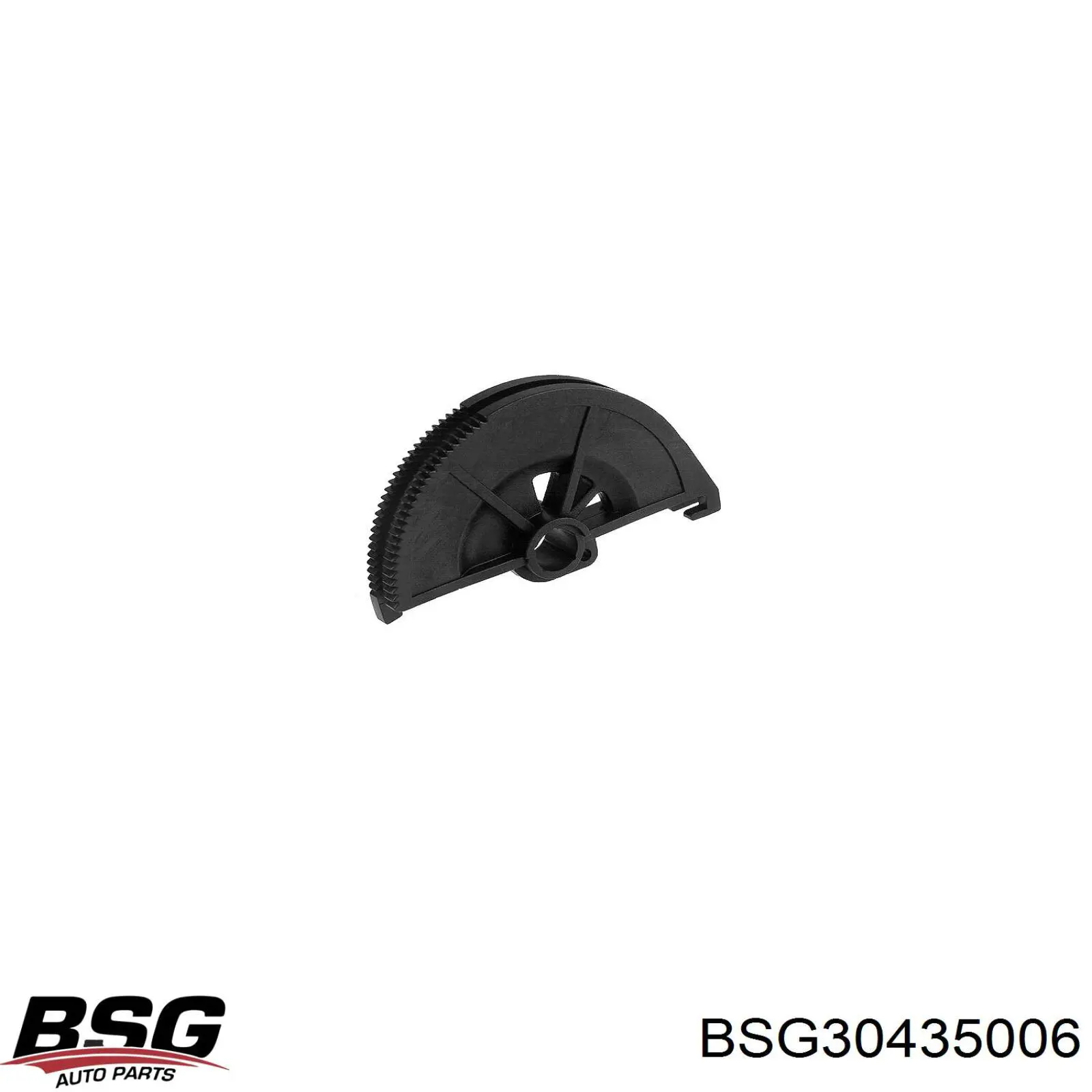 BSG30435006 BSG ремкомплект сектора приводу зчеплення