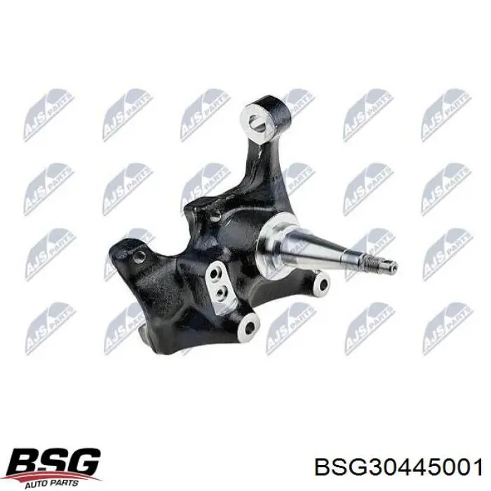 BSG30445001 BSG ремкомплект шкворня поворотного кулака