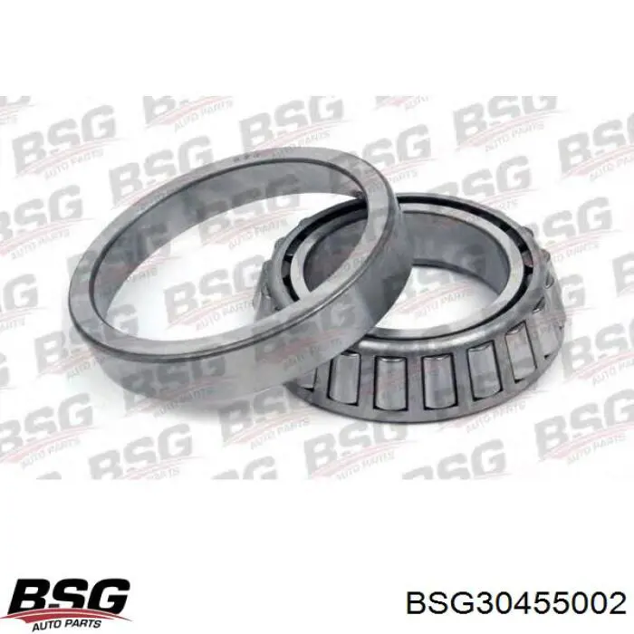 Купити DS1405 DP Group Вісь сателітів редуктора заднього