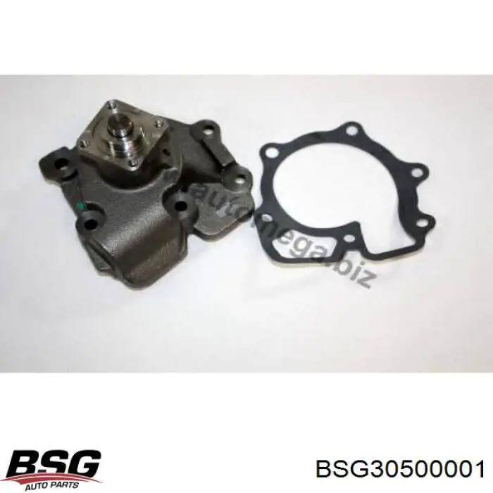 BSG30500001 BSG Насос охолодження