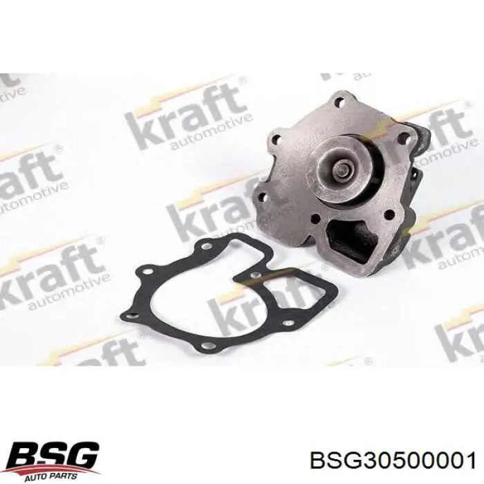 Помпа BSG30500001 BSG