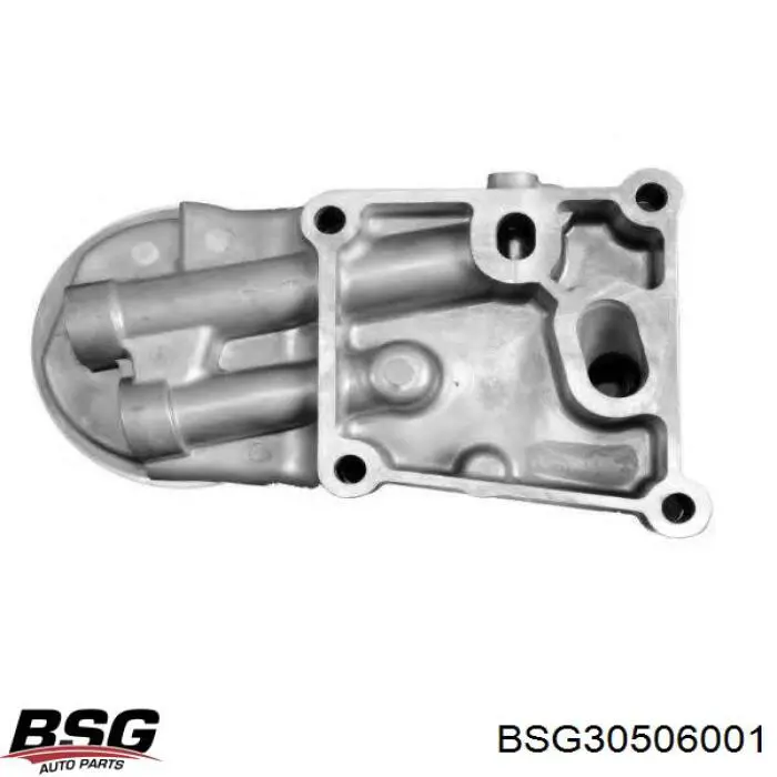 Корпус масляного фільтра BSG BSG30506001 ціна, від 42.18 USD