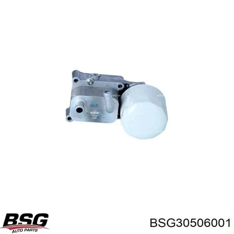 BSG30506001 BSG радіатор масляний (холодильник, під фільтром)