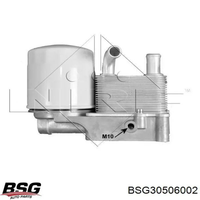 BSG30506002 BSG радіатор масляний (холодильник, під фільтром)