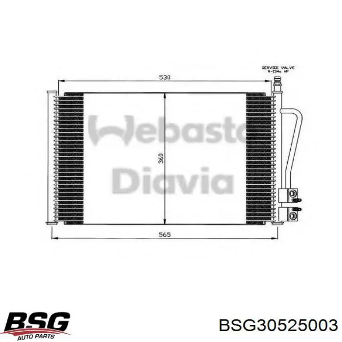 BSG30525003 BSG Конденсатор