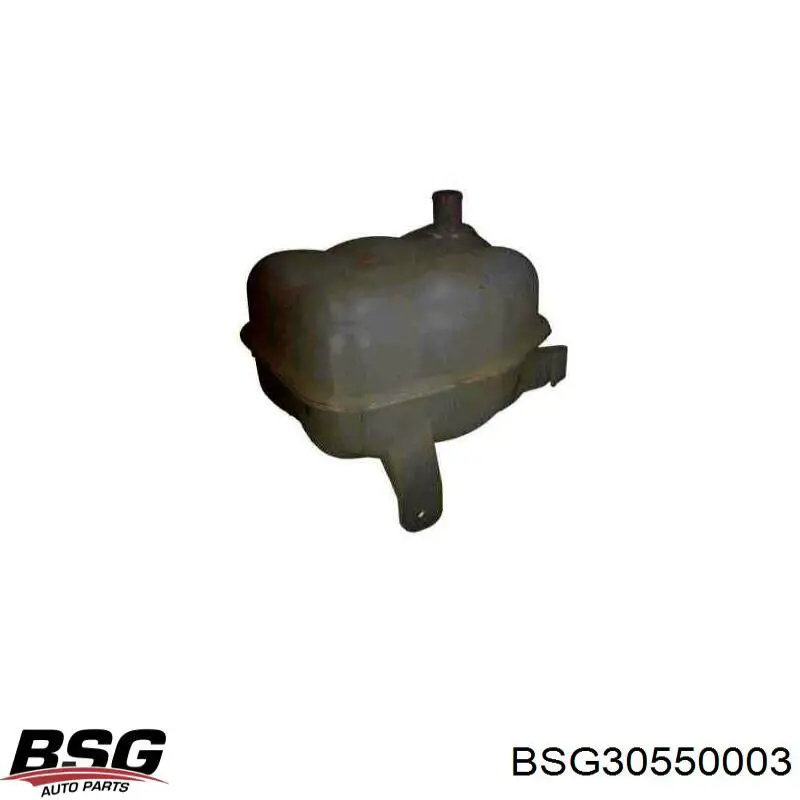 BSG30550003 BSG бачок системи охолодження, розширювальний