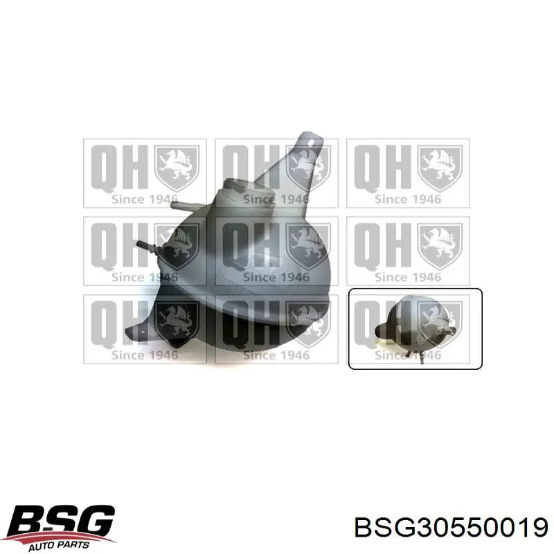 Купити CS1314 DP Group Водяний бачок системи охолодження