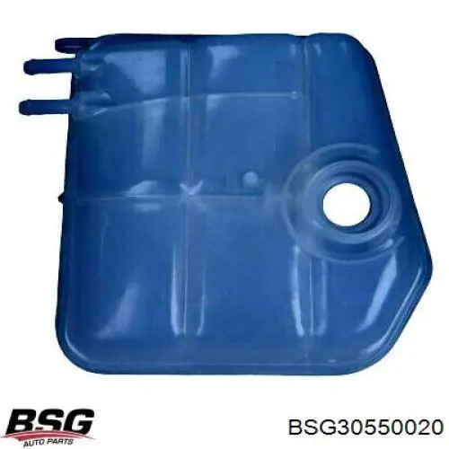 Купити BSG30550020 BSG Водяний бачок системи охолодження