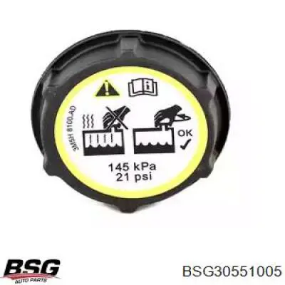Купити BSG30551005 BSG Кришка розширювального бачка