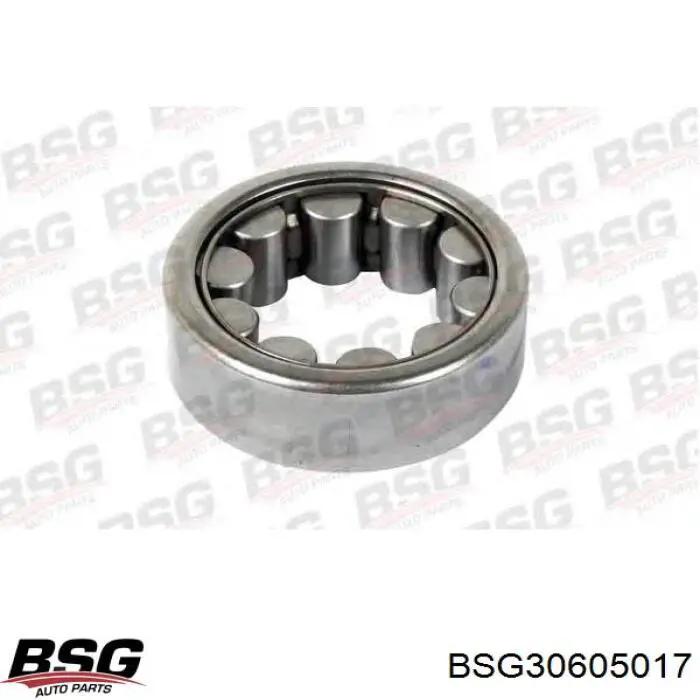 Купити 30605017 BSG Підшипник задньої ступиці