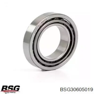Підшипник маточини задньої BSG BSG30605019 ціна, від 12.98 USD