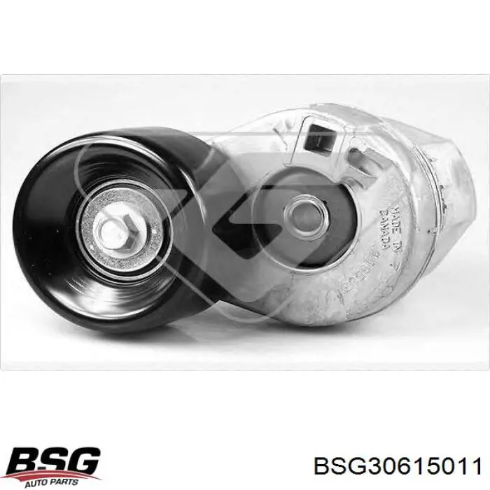 Натягувач приводного ременя Fast FT44615 ціна, від 38.04 USD