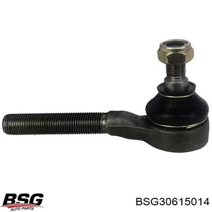 Купити BSG30615014 BSG Натягувач приводного ременя