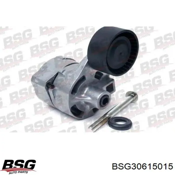 BSG30615015 BSG Натяжна планка поліклинового ременя