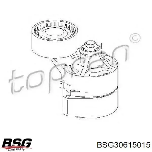 Купити BSG30615015 BSG Натягувач приводного ременя
