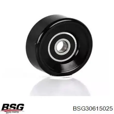 Купити BSG30615025 BSG Ролик приводного ременя, паразитний
