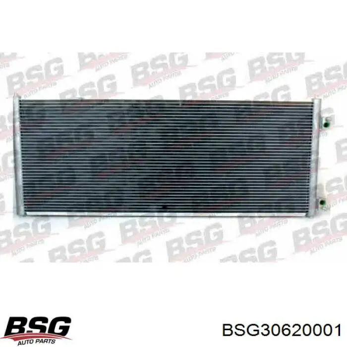 Підшипник вижимний зчеплення BSG30620001 BSG