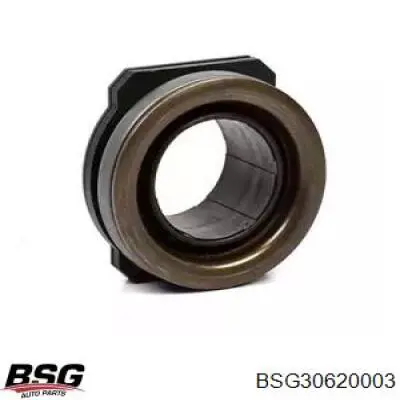 Вижимний підшипник BSG BSG30620003 ціна, від 17.44 USD