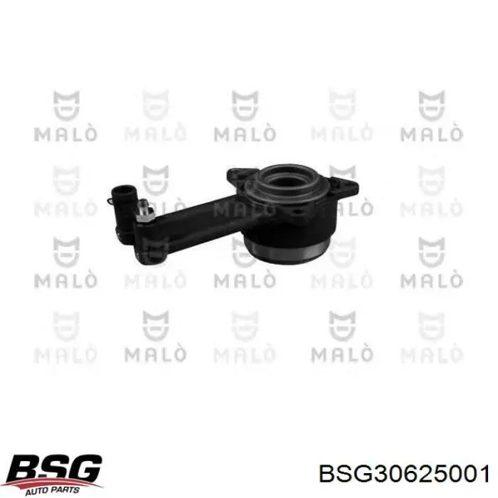 Купити BSG30625001 BSG Робочий циліндр зчеплення в зборі з витискним підшипником