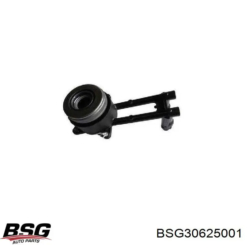 Робочий циліндр зчеплення в зборі з вижимним підшипником BSG BSG30625001