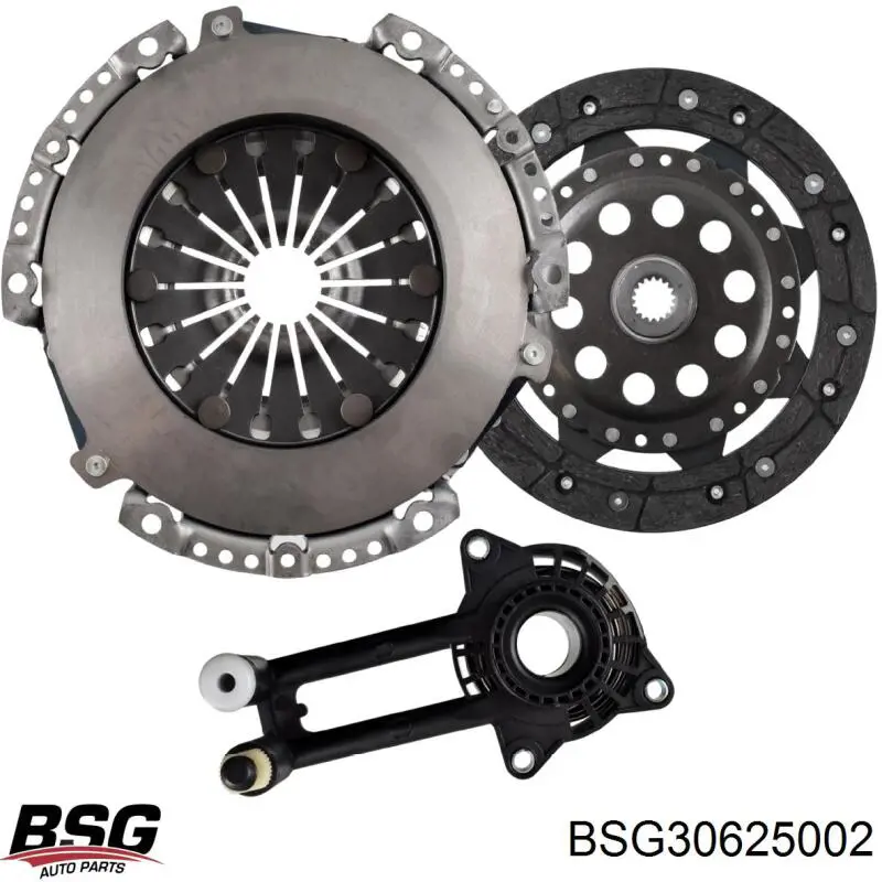 BSG30625002 BSG Робочий циліндр зчеплення в зборі з витискним підшипником