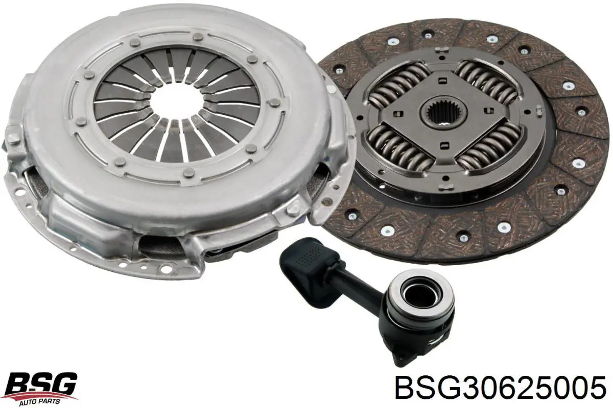 BSG30625005 BSG Робочий циліндр зчеплення в зборі з витискним підшипником