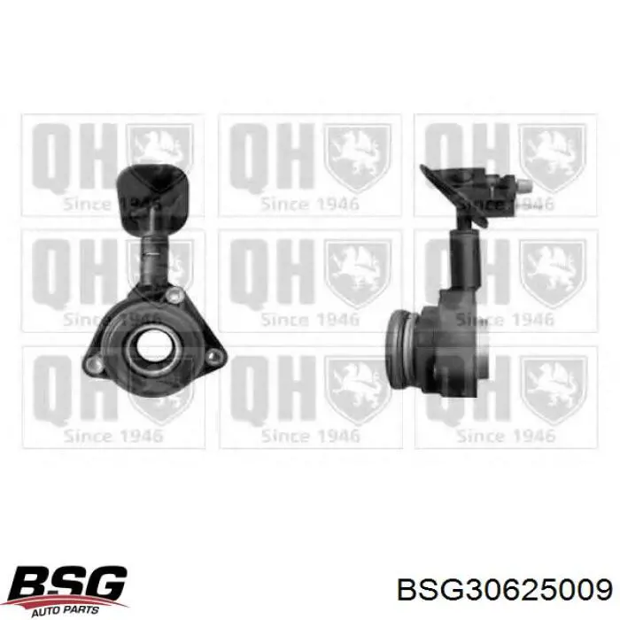 Купити BSG30625009 BSG Робочий циліндр зчеплення в зборі з витискним підшипником