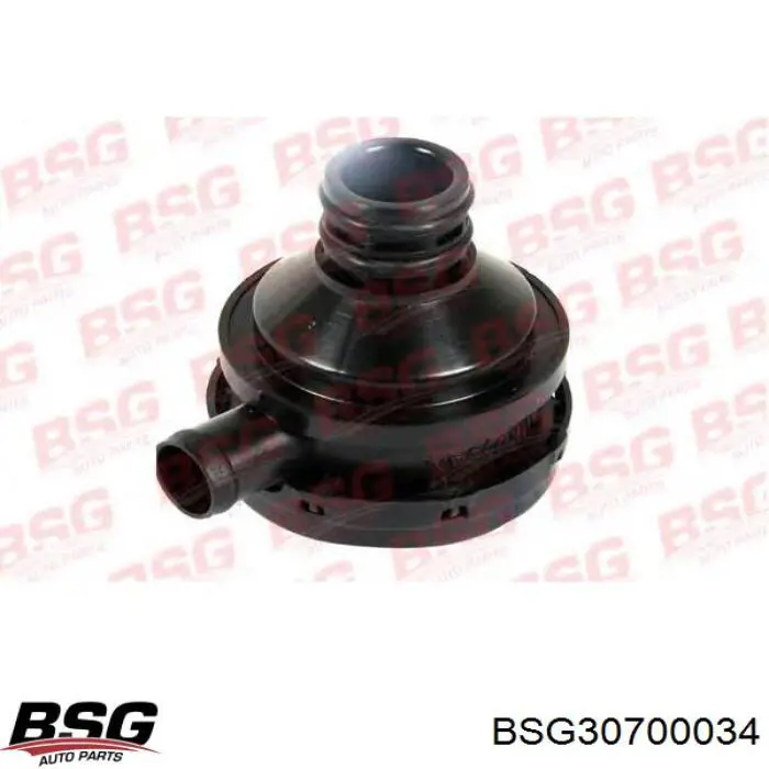 Купити 30700034 BSG Масловіддільник