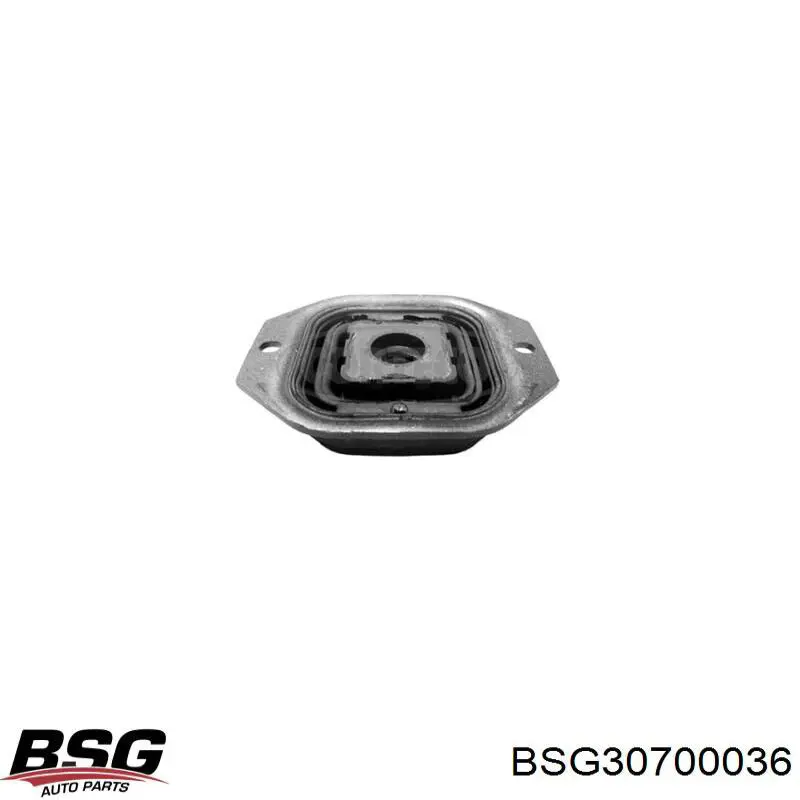  BSG BSG30700036 ціна, від 8.15 USD