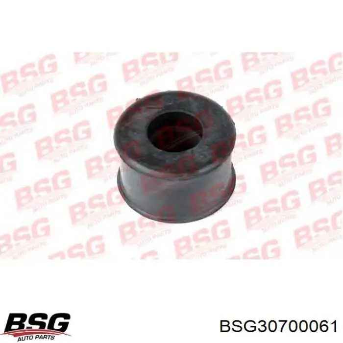 Втулка переднього стабілізатора BSG30700061 BSG